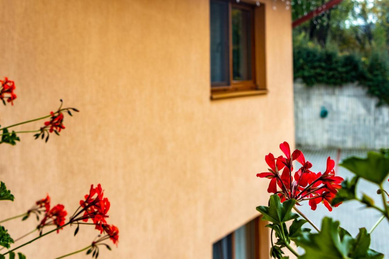 Aparthotel Casa Tofi Vendeghaz Praid Exteriér fotografie